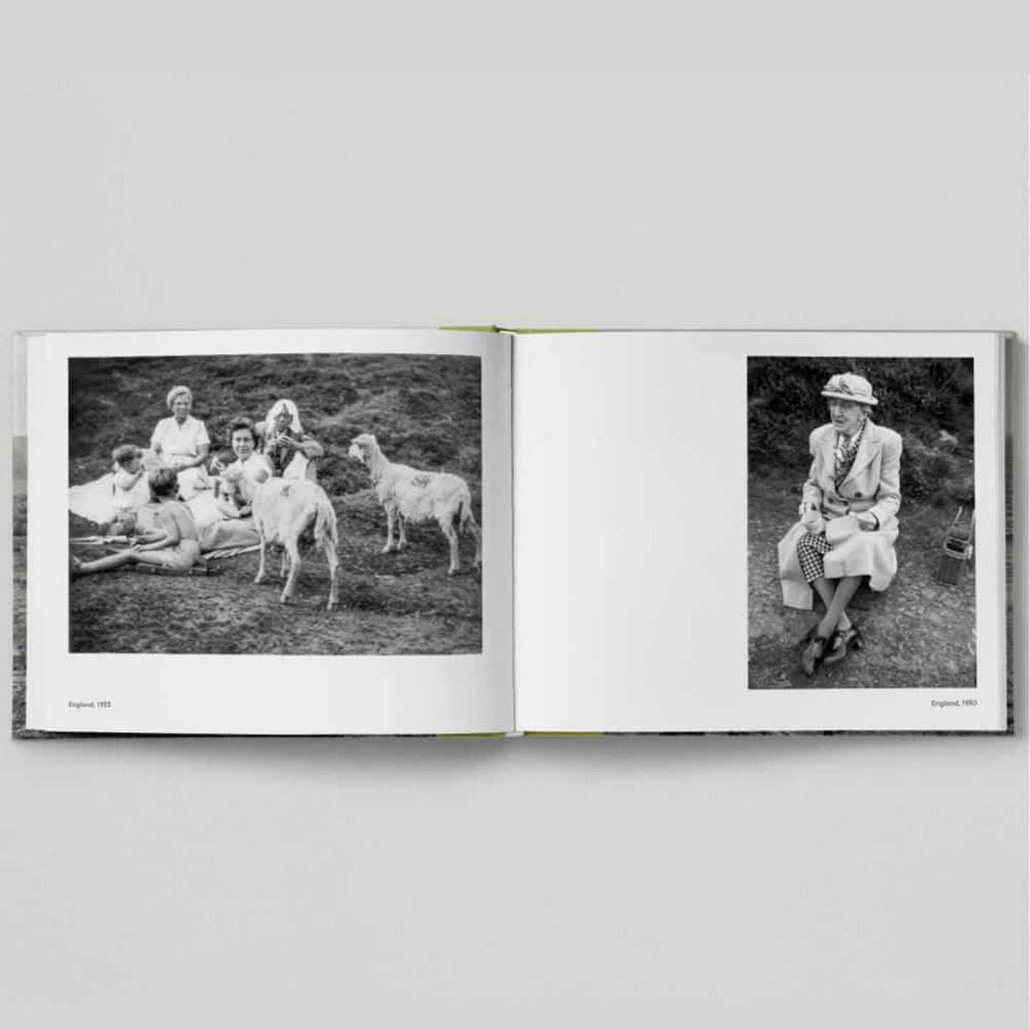 A Very British Picnic