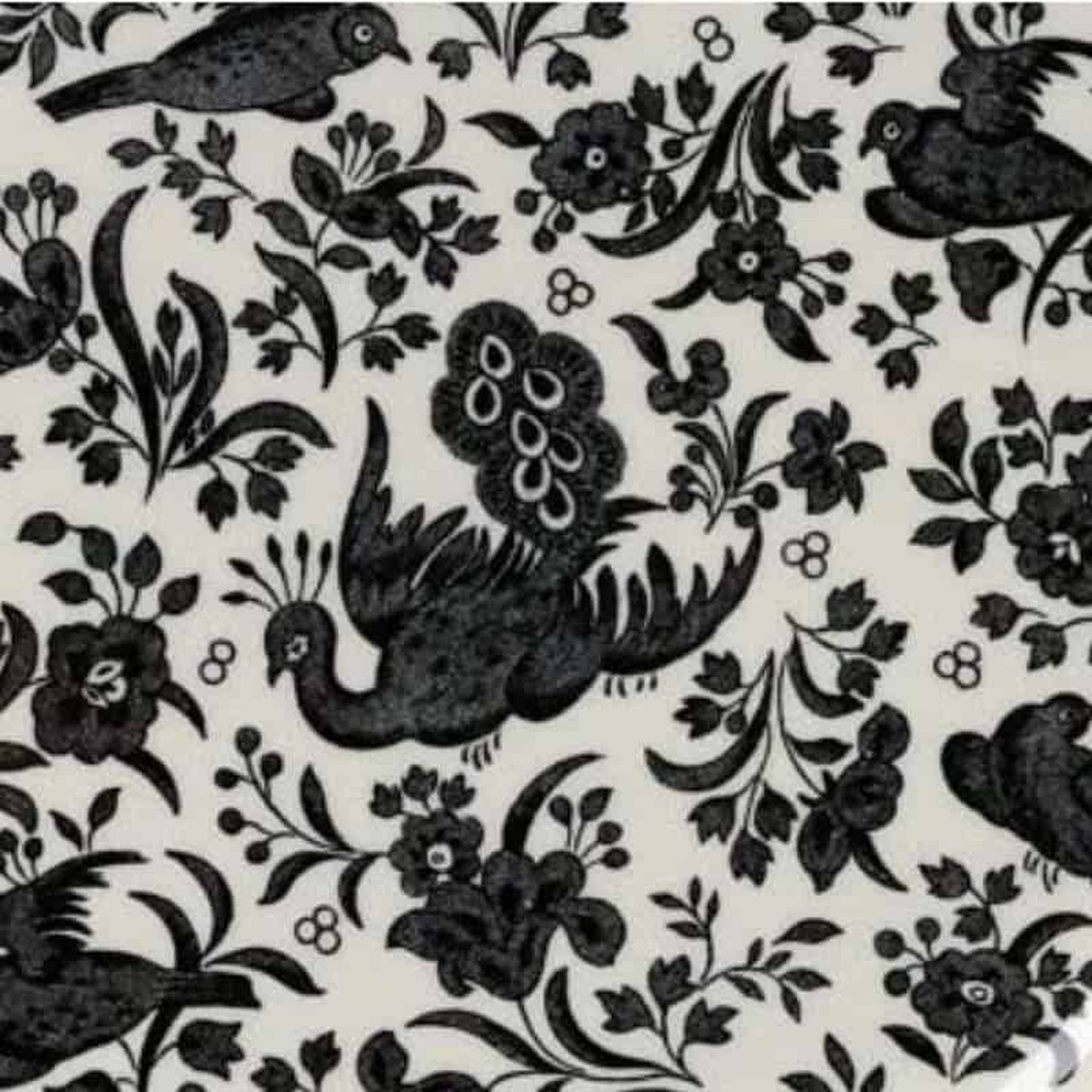 Black Regal Peacock Teacup Gift Set