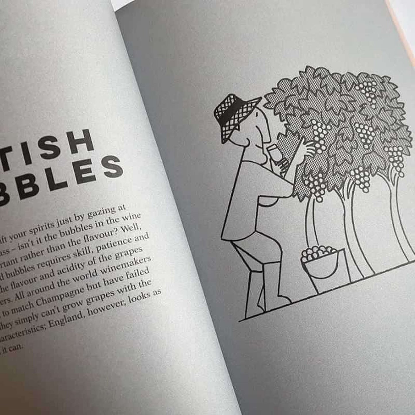 English Wine - Oz Clarke