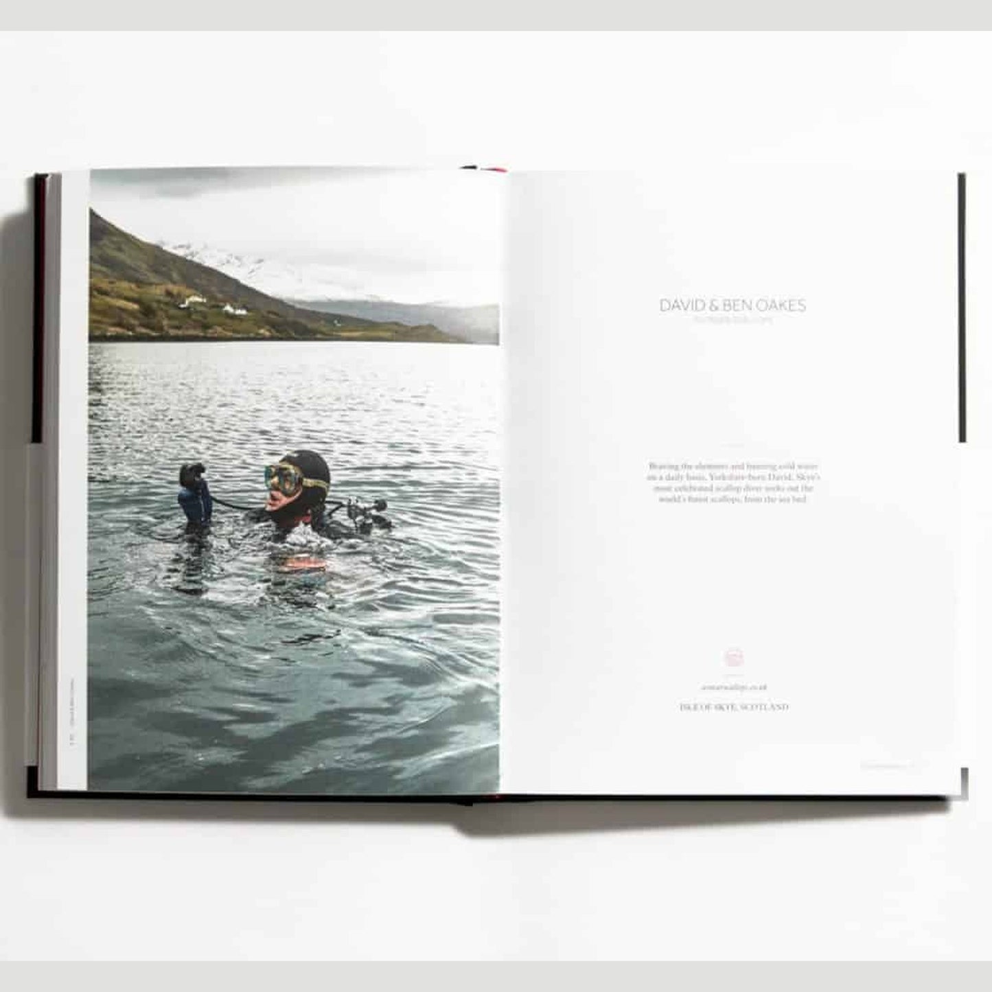 For The Love of Food