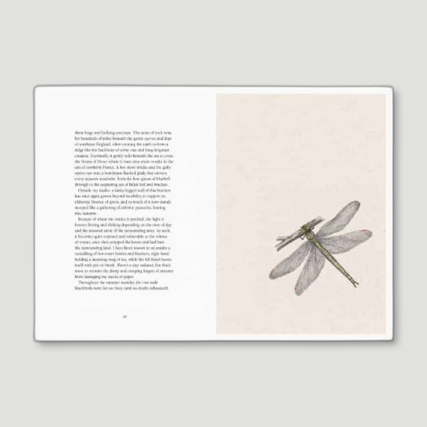 From Field to Forest - Anna Kosta from Pavillion Books - British Coffee Table Books