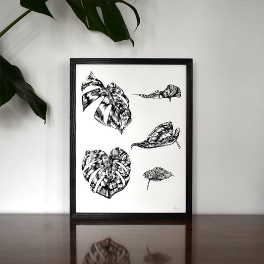 Monstera Botanical Illustration 12" x 16"