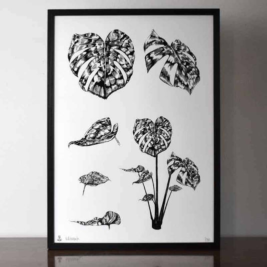 Monstera Botanical Limited Edition Print