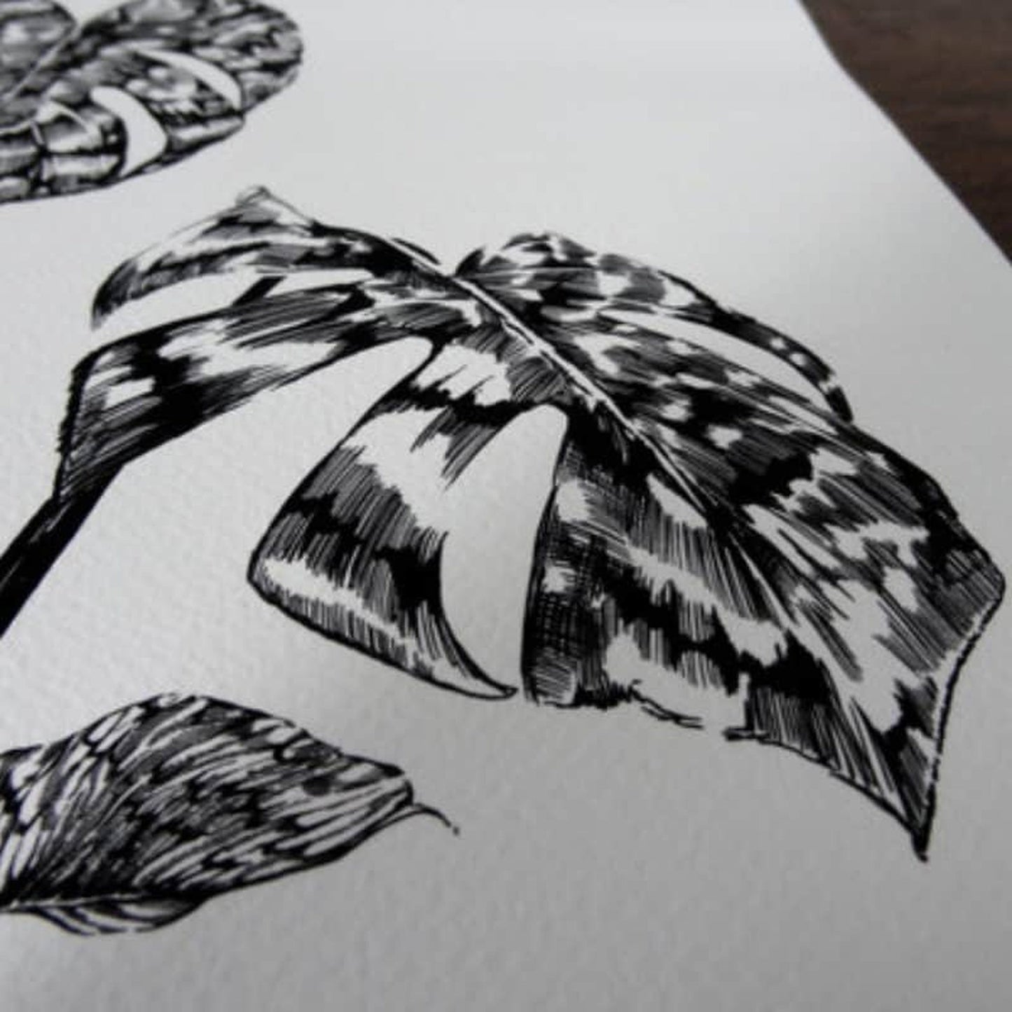 Monstera Botanical Limited Edition Print