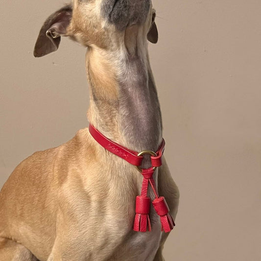 Red Leather Dog Collar - 'Moccasin tassel' House Collar