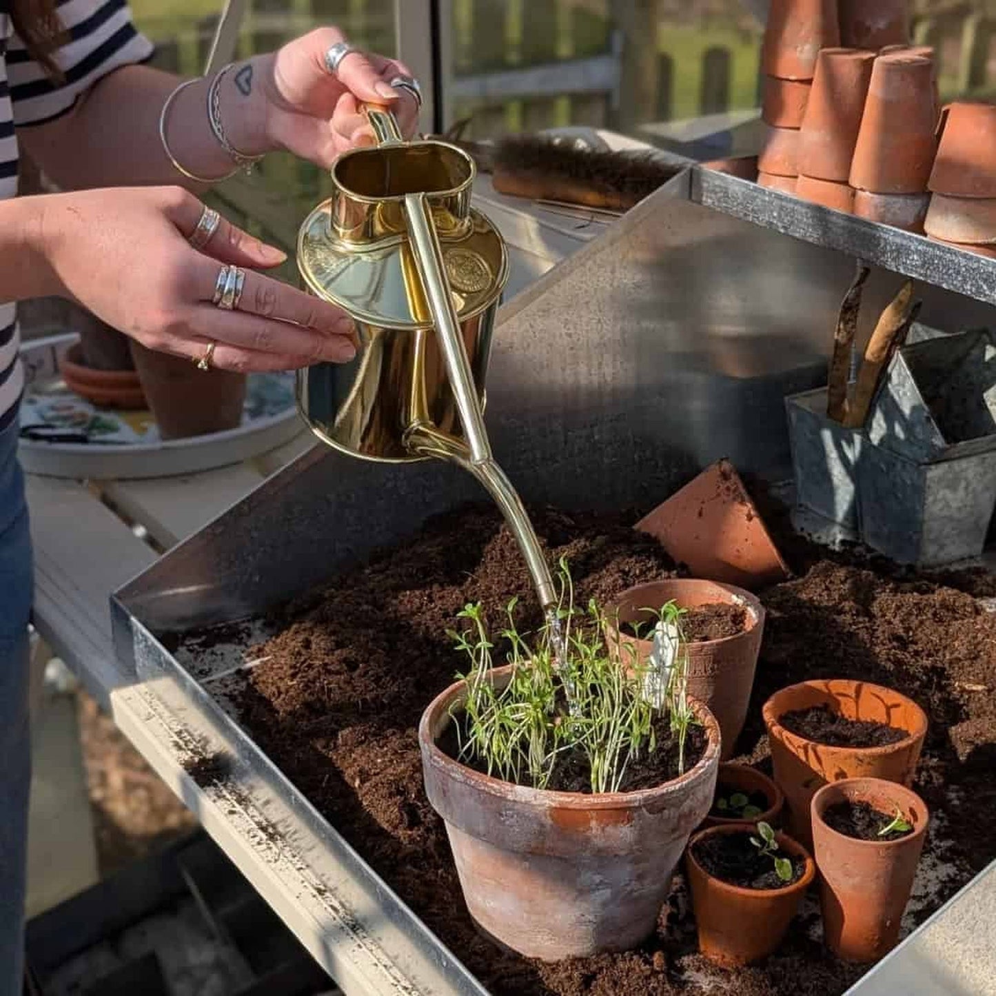 Rowley Ripple - Two Pint Brass Watering Can