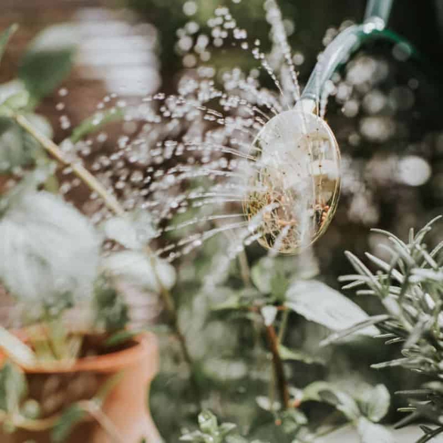 Rowley Ripple - Two Pint Green Watering Can