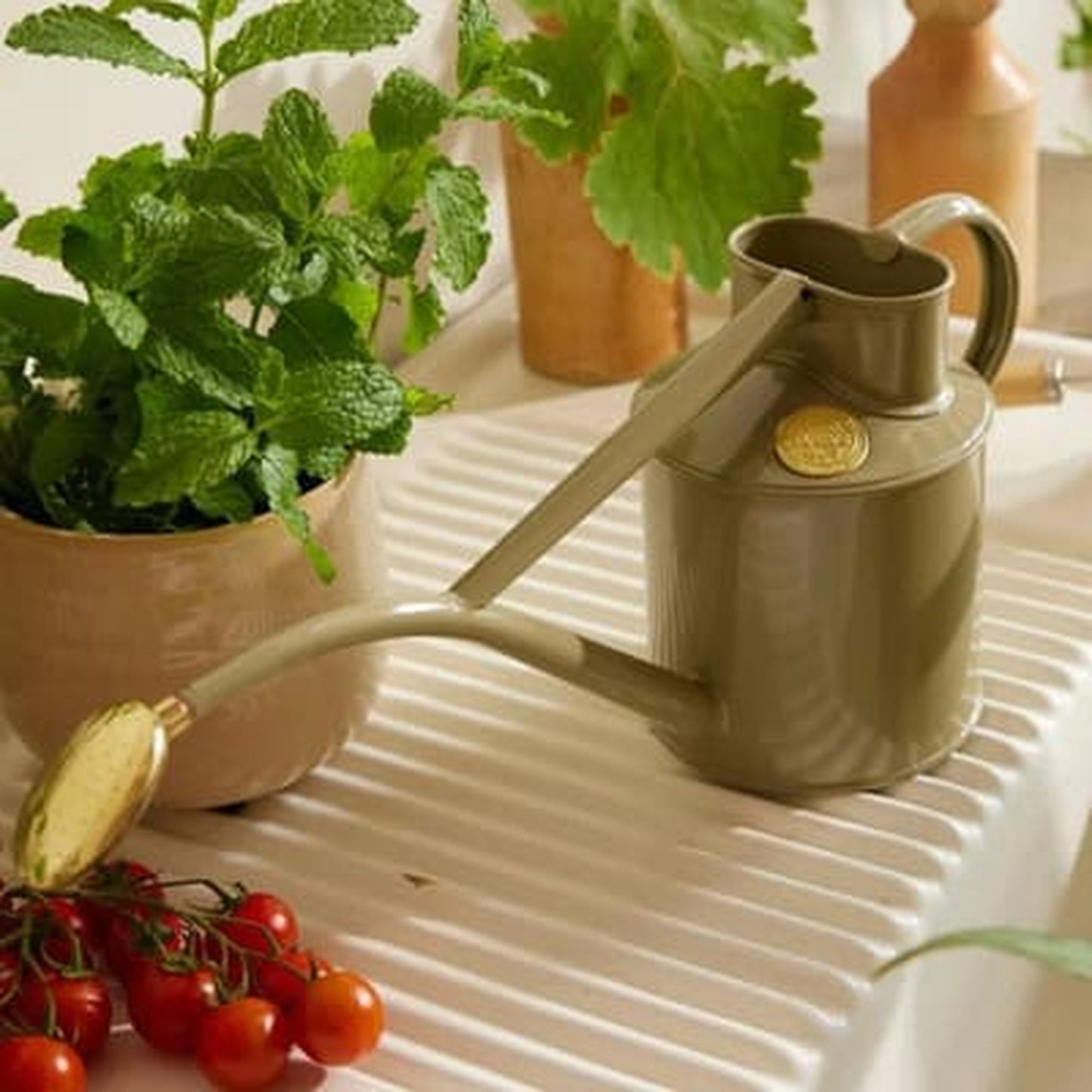 Rowley Ripple - Two Pint Lichen Watering Can