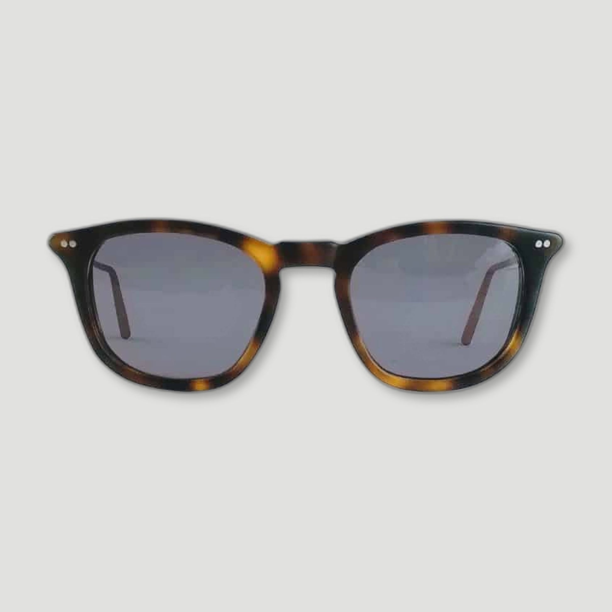 Tortoise Shell Sunglasses from Banton Frameworks - British Made Sunglasses
