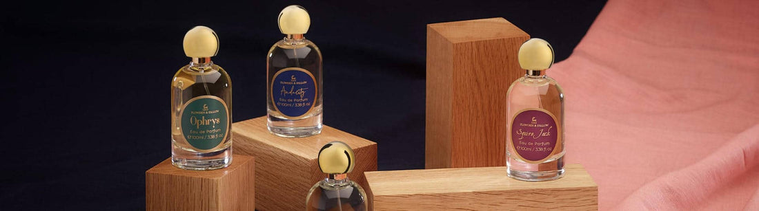 Plowden & Fallow Interview