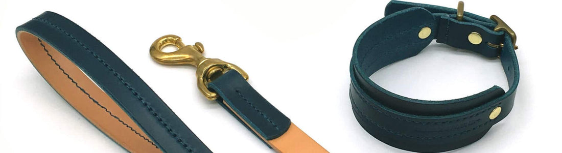 Seldom Found Interview