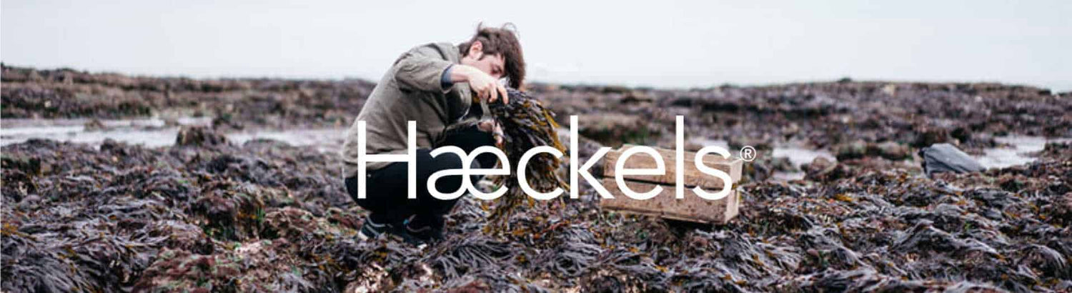 Haeckels of Margate