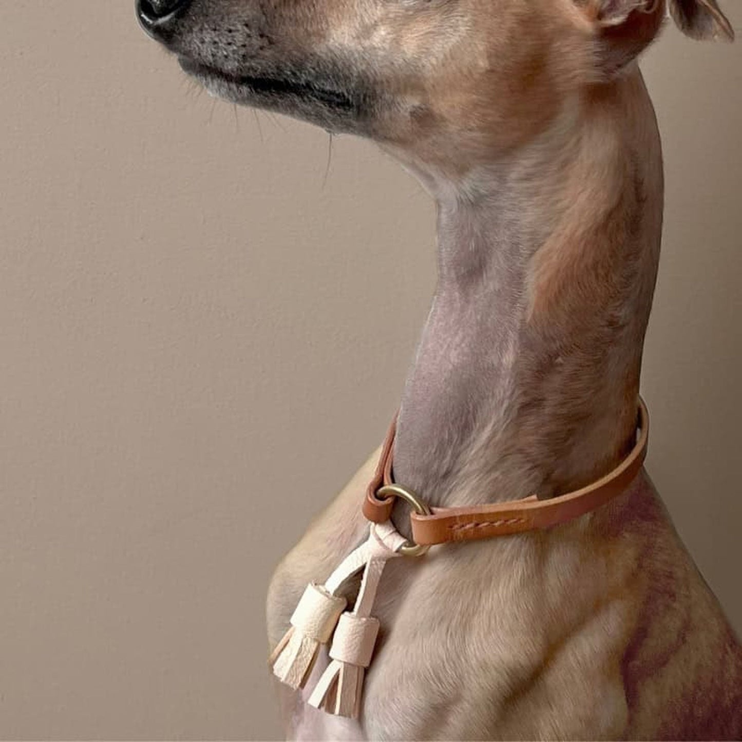 Black Leather Dog Collar - 'Moccasin tassel' House Collar