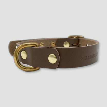 Brown Leather 'Brigadier' Puppy & Small Breed Dog Collar from Seldom Found - British Made Dog Collars