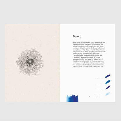 From Field to Forest - Anna Kosta