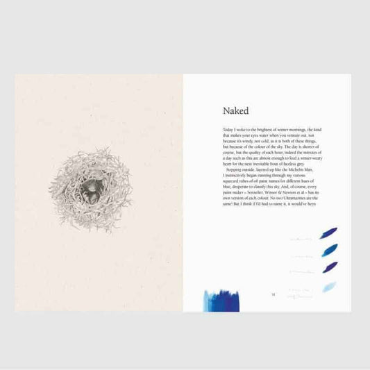 From Field to Forest - Anna Kosta