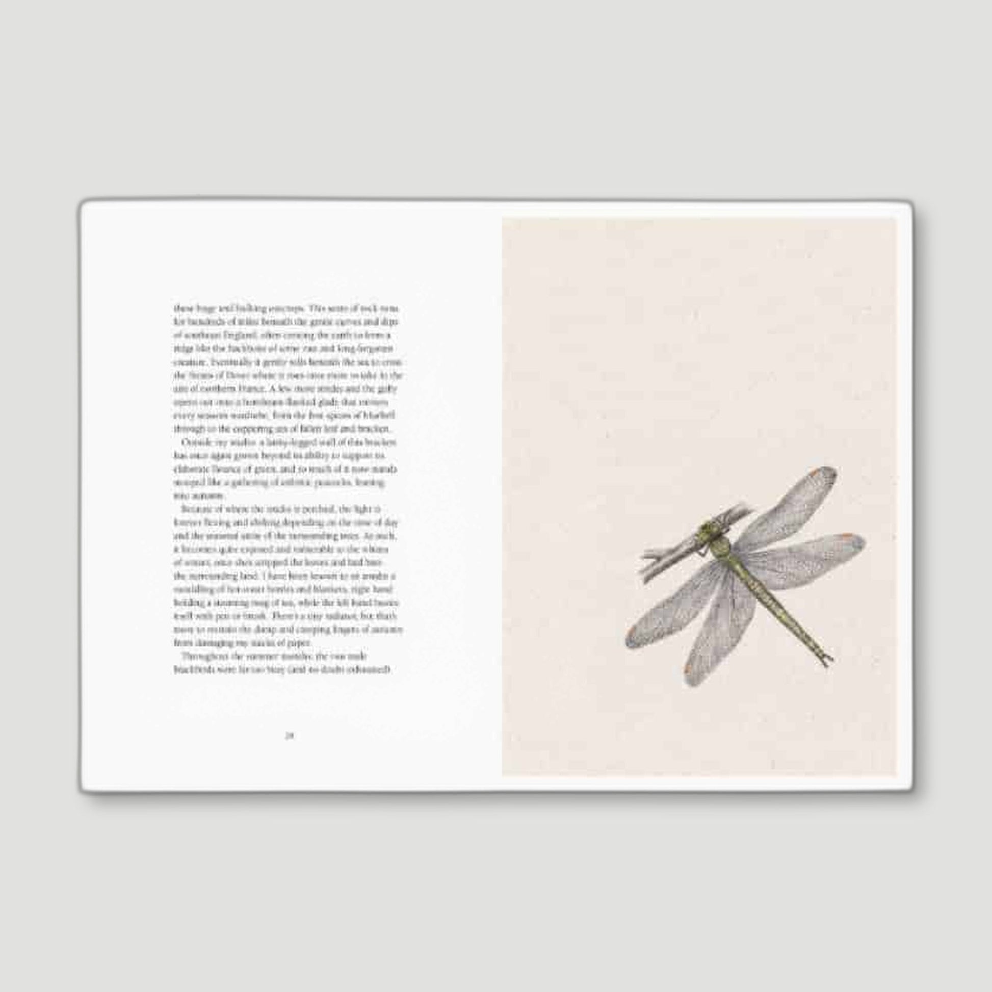 From Field to Forest - Anna Kosta from Pavillion Books - British Coffee Table Books