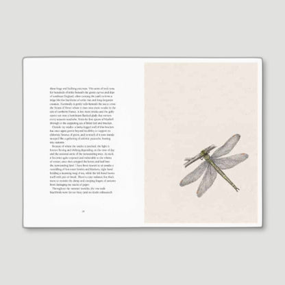 From Field to Forest - Anna Kosta from Pavillion Books - British Coffee Table Books