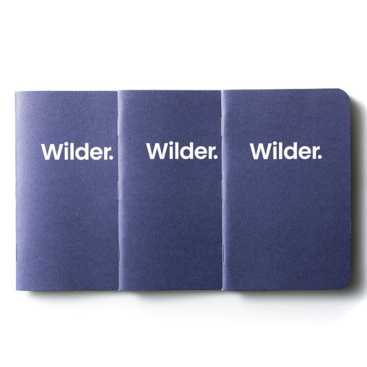 Lined Navy Notebooks 3-pack