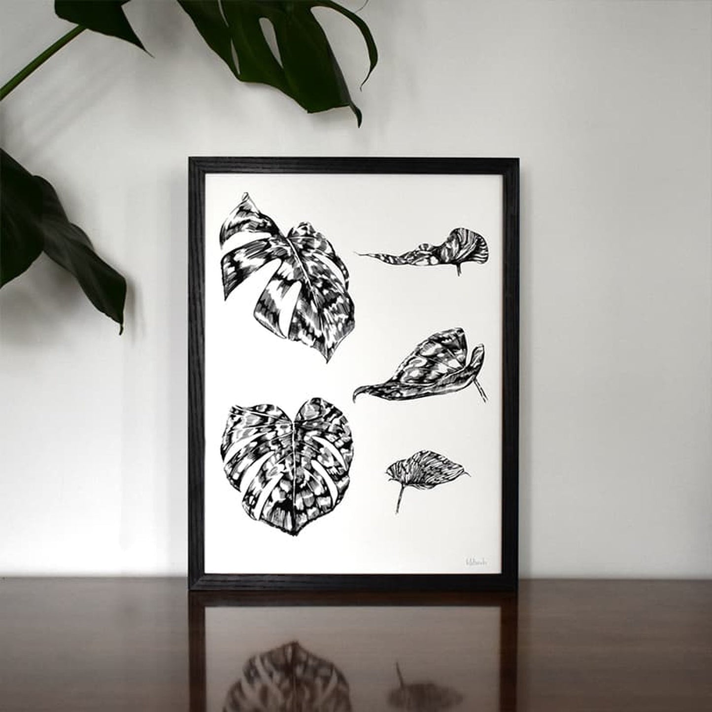 Monstera Botanical Illustration 12" x 16"