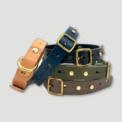 Natural Tan Leather 'Brigadier' Puppy & Small Breed Dog Collar from Seldom Found - British Made Dog Collars