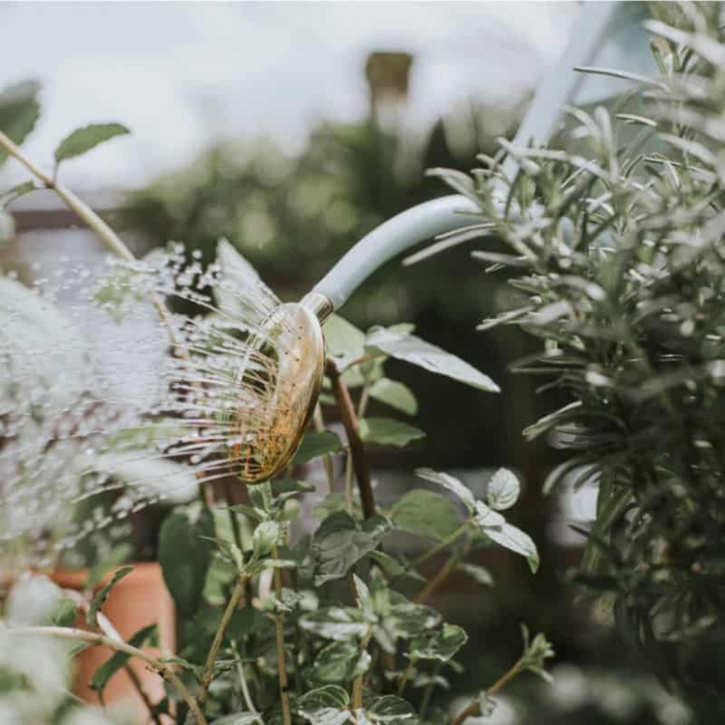 Rowley Ripple Duck Egg Blue Watering Can