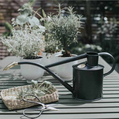Rowley Ripple - Two Pint Graphite Watering Can