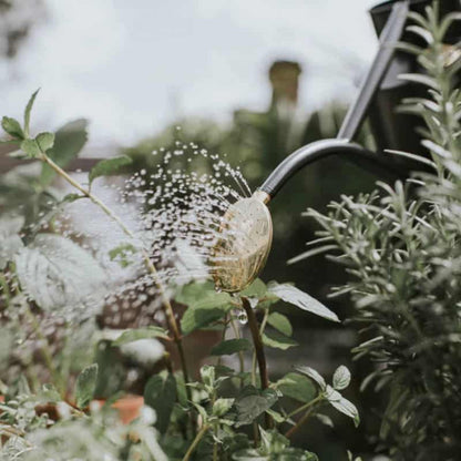 Rowley Ripple - Two Pint Graphite Watering Can
