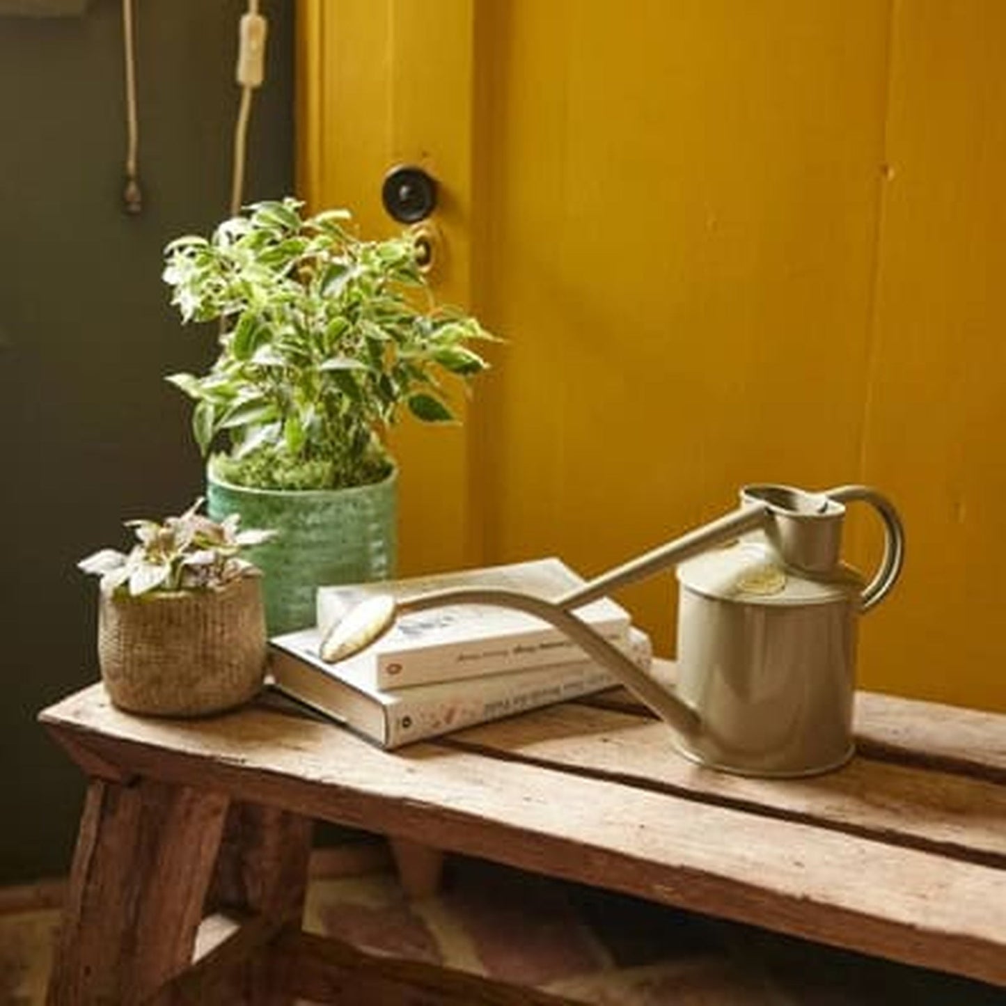 Rowley Ripple - Two Pint Lichen Watering Can