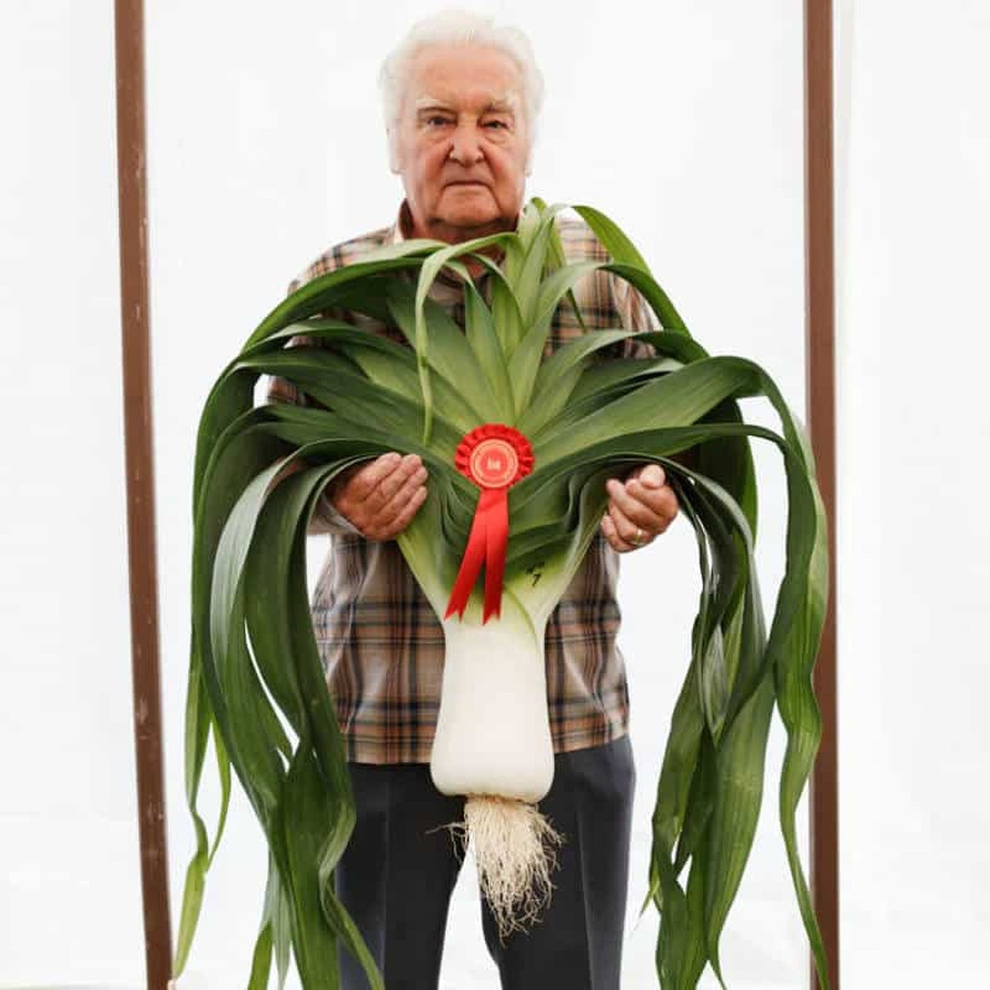 The English - Henri Cartier-Bresson & Martin Parr