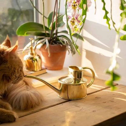 The Fazeley Flow - One Pint Brass Watering Can