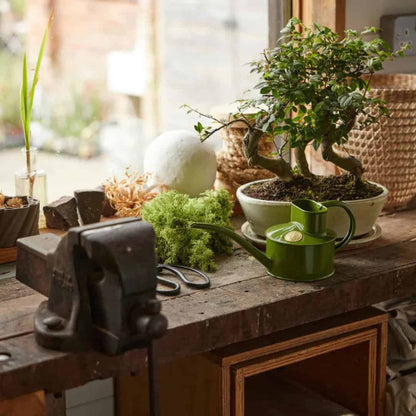 The Fazeley Flow - One Pint in Fern Green