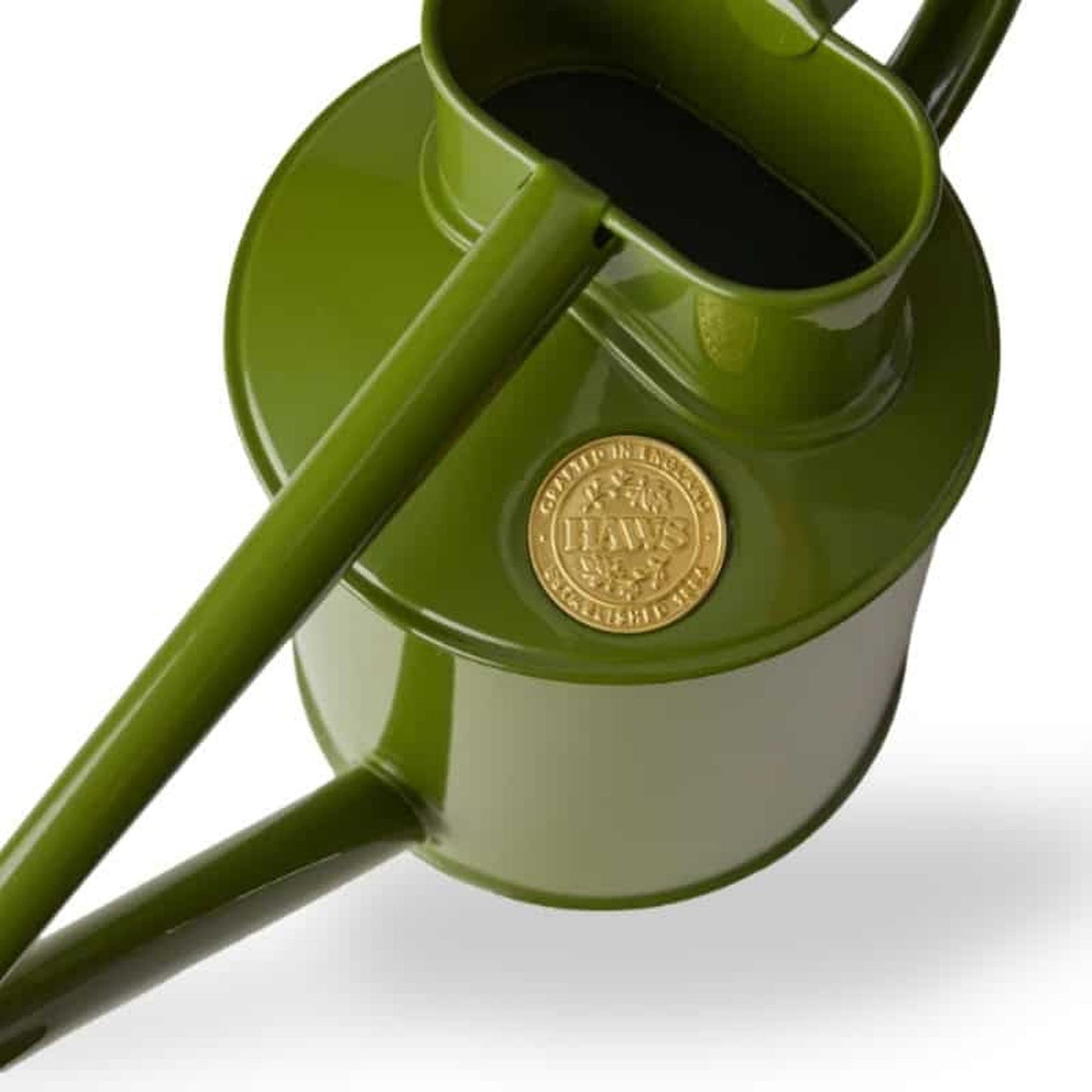 The Fazeley Flow - Two Pint Fern Green